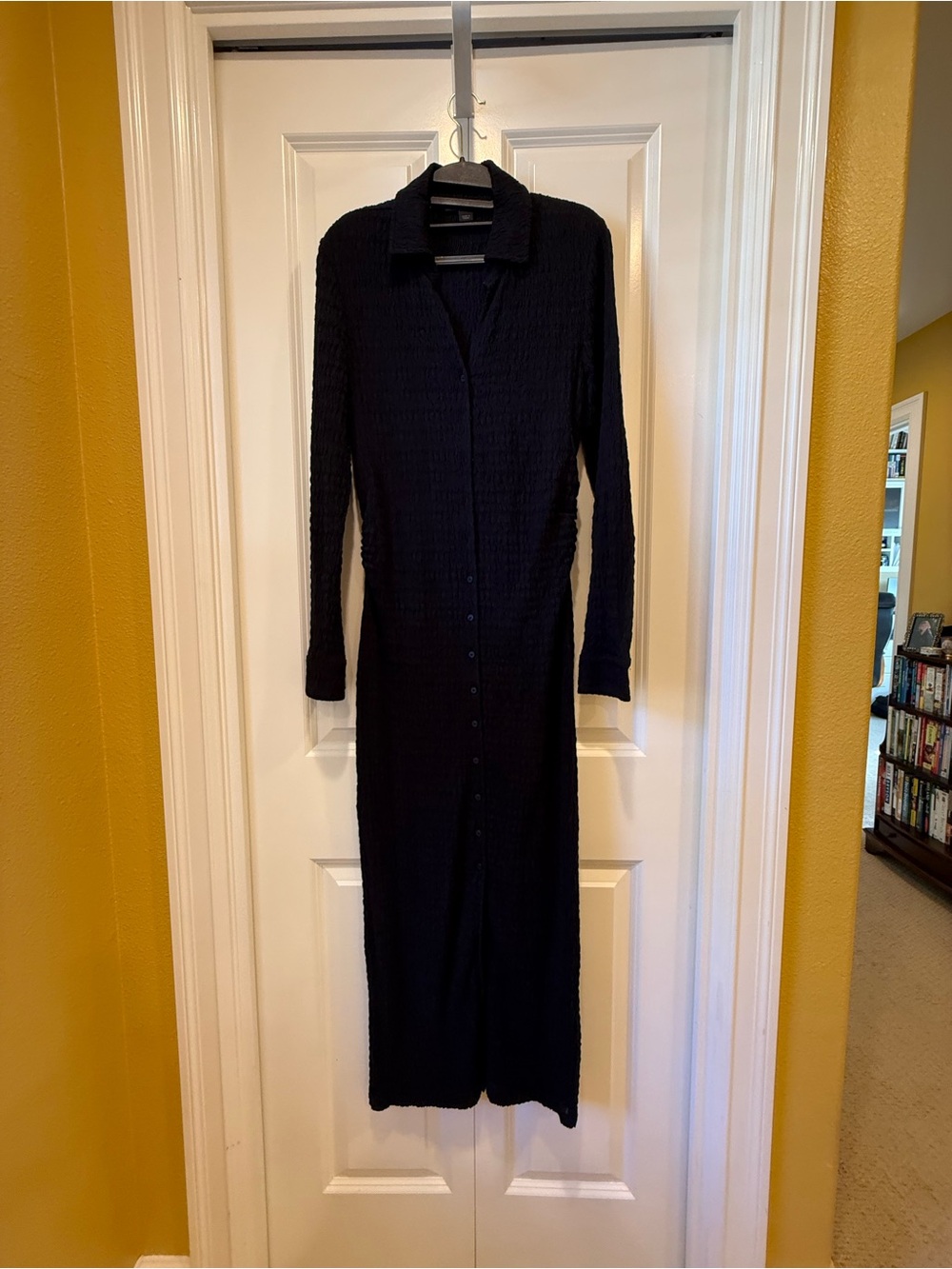 NWOT AllSaints Long Black Button-Down Maxi Dress